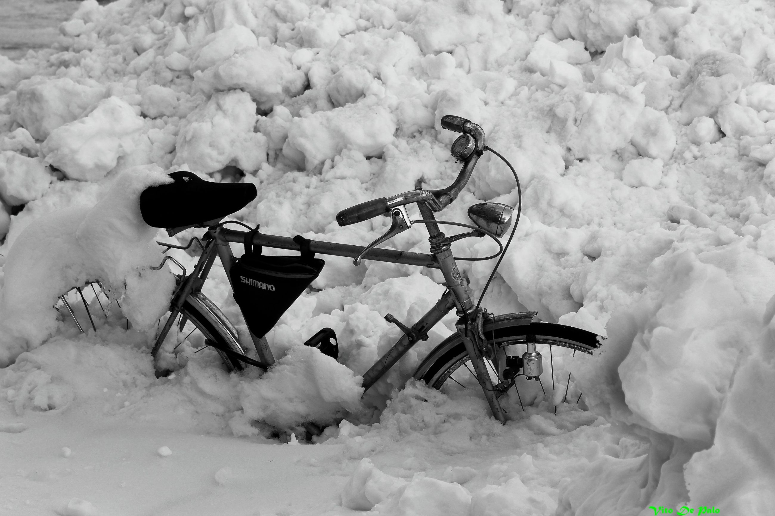 bicicletta nevone